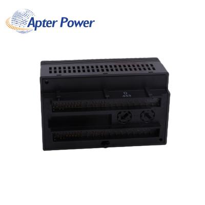 IC200ALG326