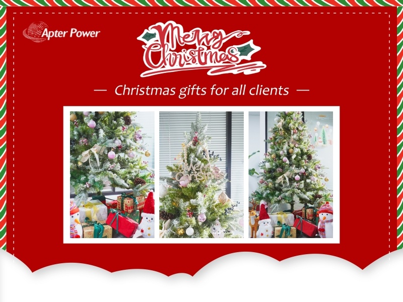 Christmas Promotion