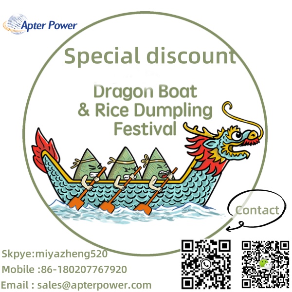 The Dragon Boat Festival Promotion Activities 2024